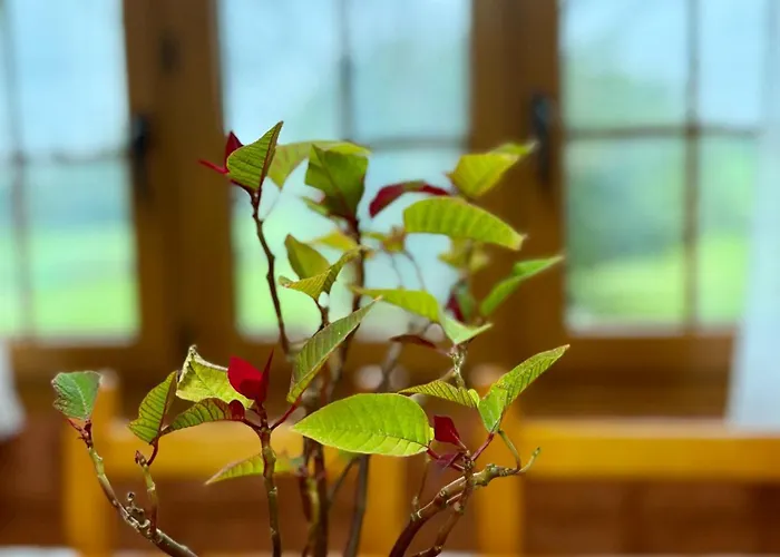 Con Zona De Asador En Quijas Holiday home